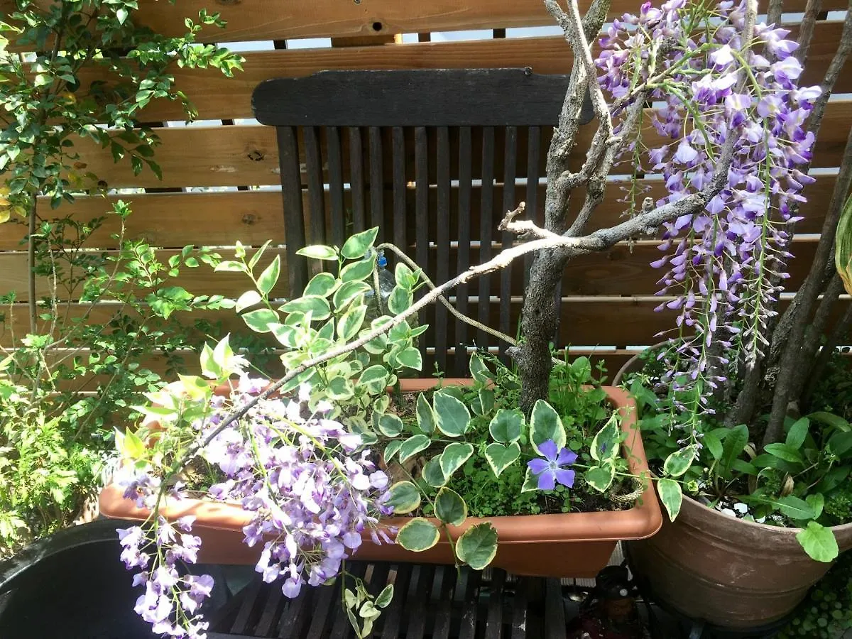 Homestay Oasis Minamiyukigaya Apartment Tokyo Japan